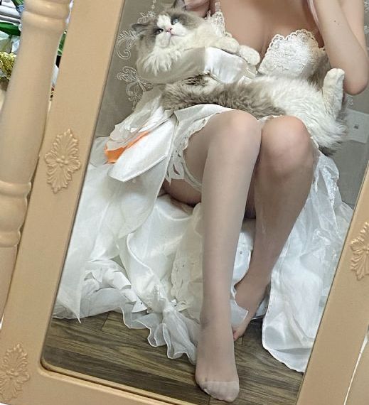 三个姑妈一个侄