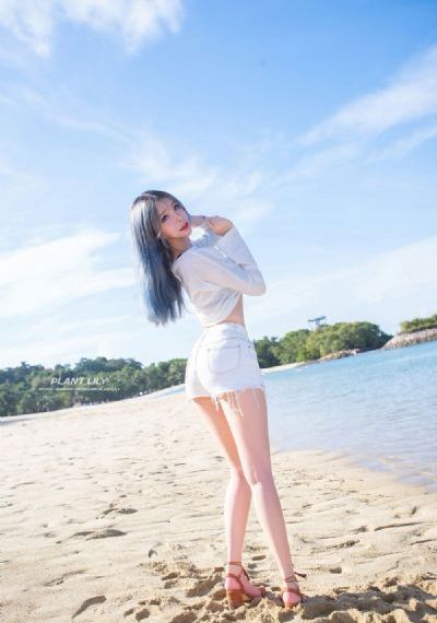 王蓝莓动画片大全集免费播放