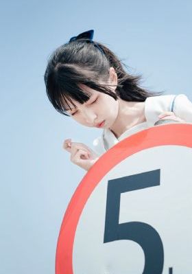 少帅在线观看免费全集