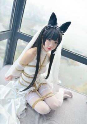 无颜之月免费视频