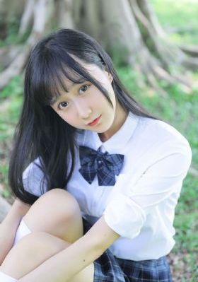 拉布拉多警长146集