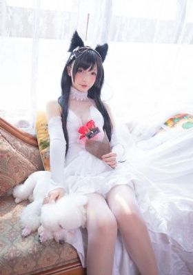 花儿与少年第六季免费观看